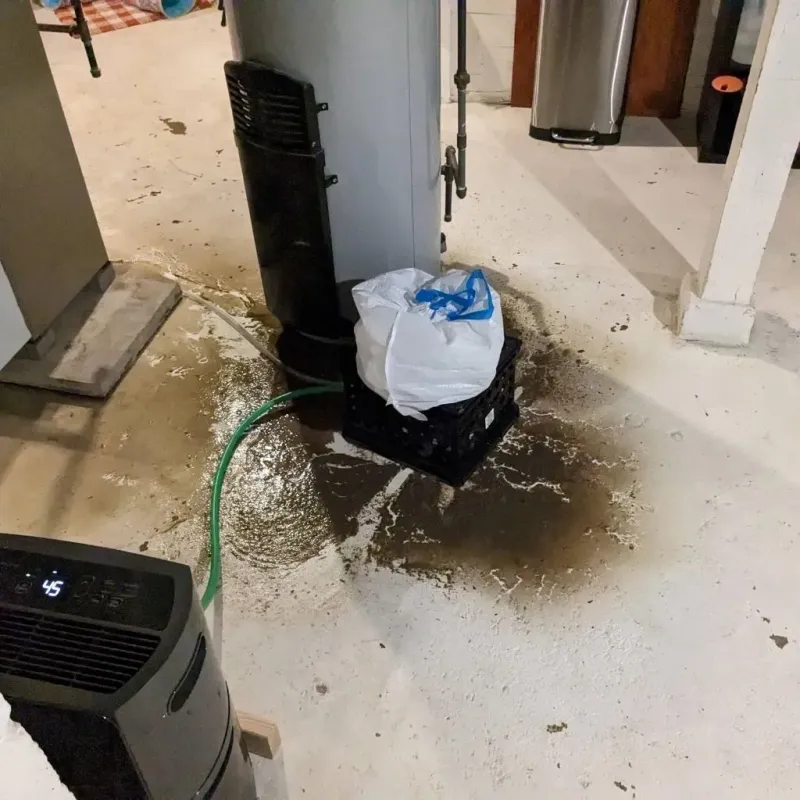Sewage Backup Cleanup Service in Byram, MS
